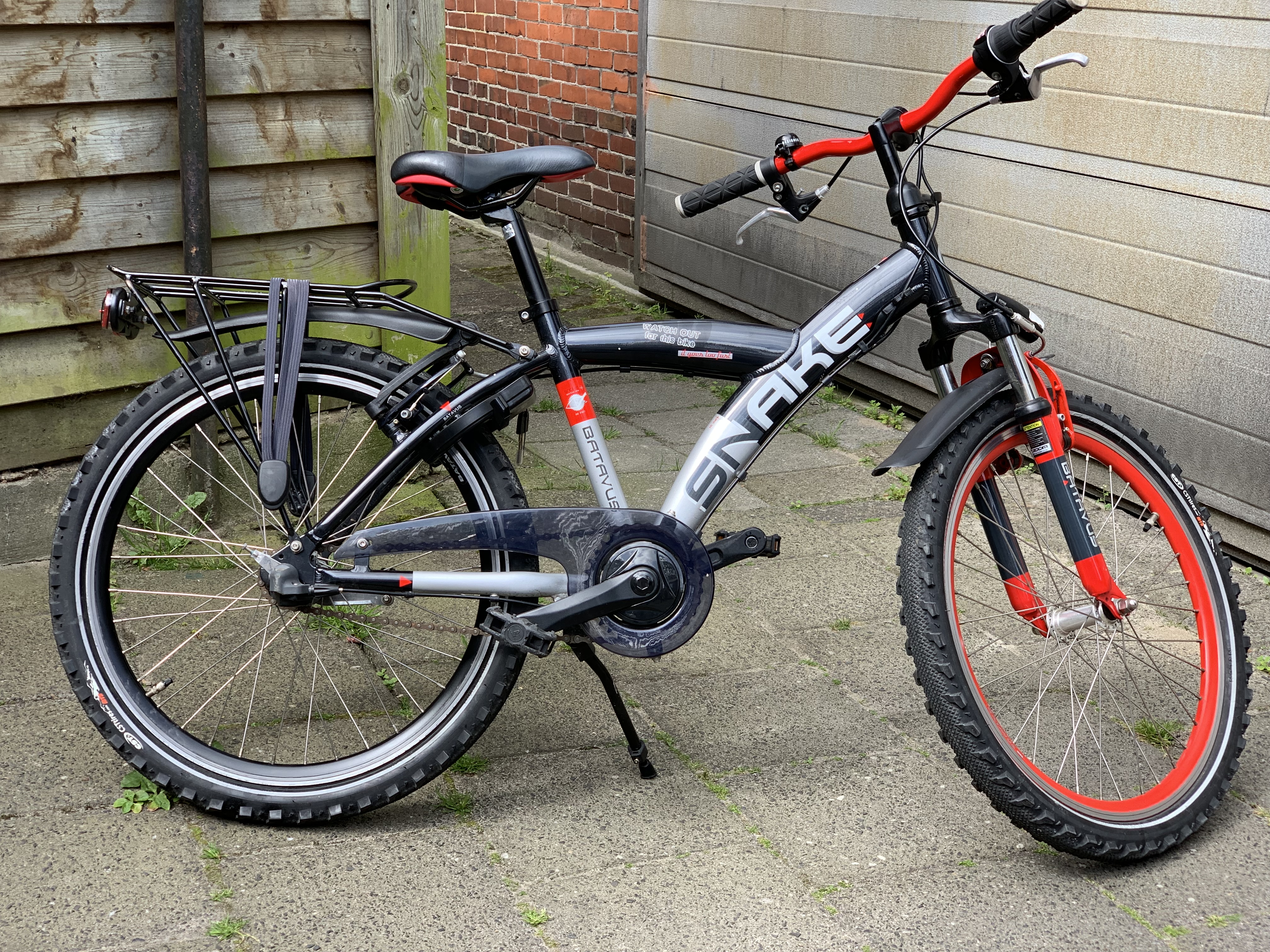 Batavus Snake 22'