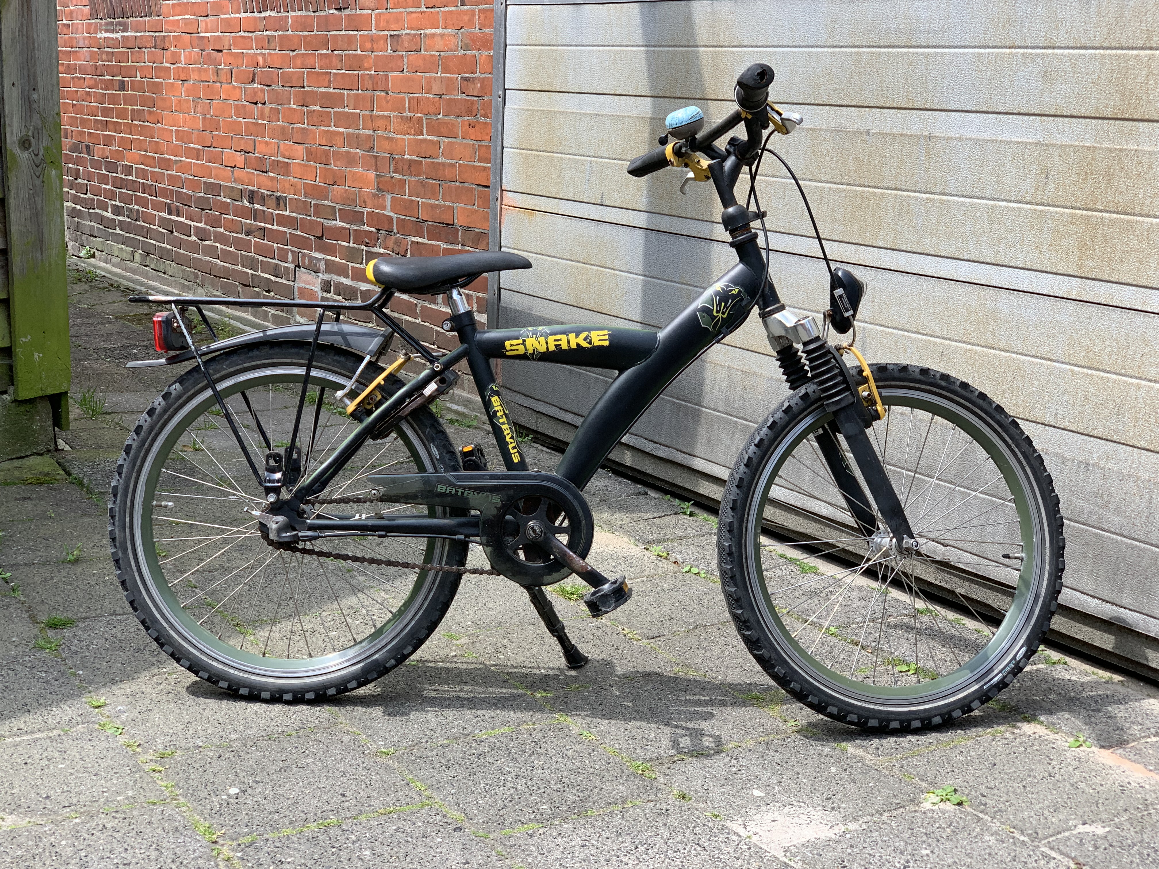Batavus Snake 22' €150